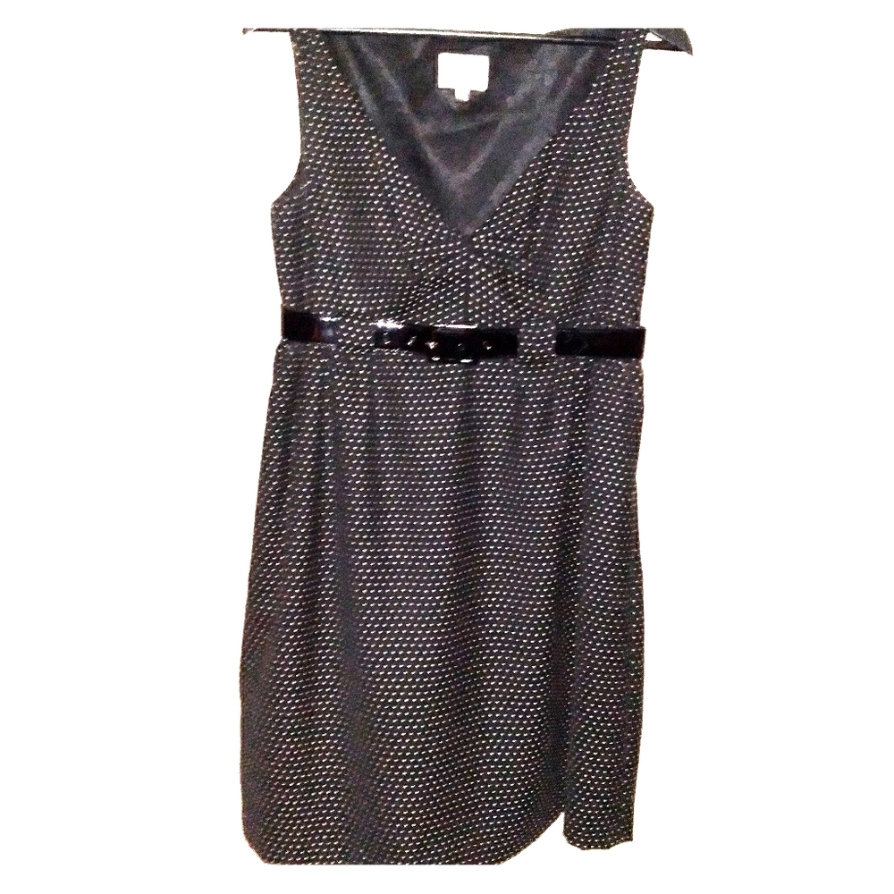 NWOT Milly dress (belted)